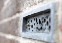 비 브릭(Bee Brick): 꿀벌의 도심 속 보금자리